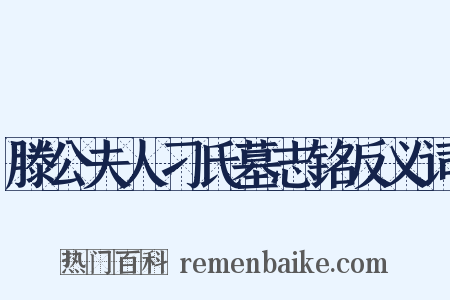 滕公夫人刁氏墓志铭反义词是什么意思的图片